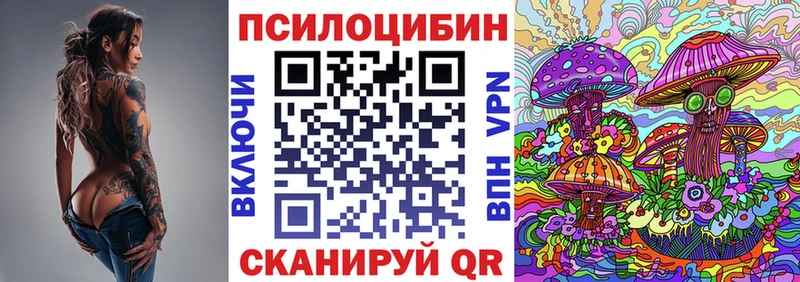 купить закладку  Кировск  Псилоцибиновые грибы мухоморы 