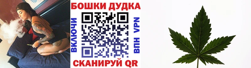 Конопля ГИДРОПОН  дарнет шоп  Кировск 